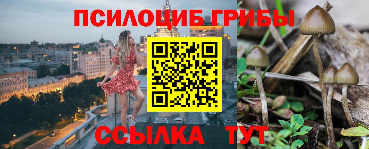 Белебей  Галлюциногенные грибы Psilocybe  Вход с VPN  хочу наркоту  Псилоцибиновые грибы MAGIC MUSHROOMS 